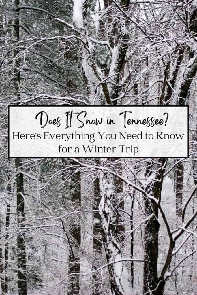 Does It Snow in Tennessee Pin