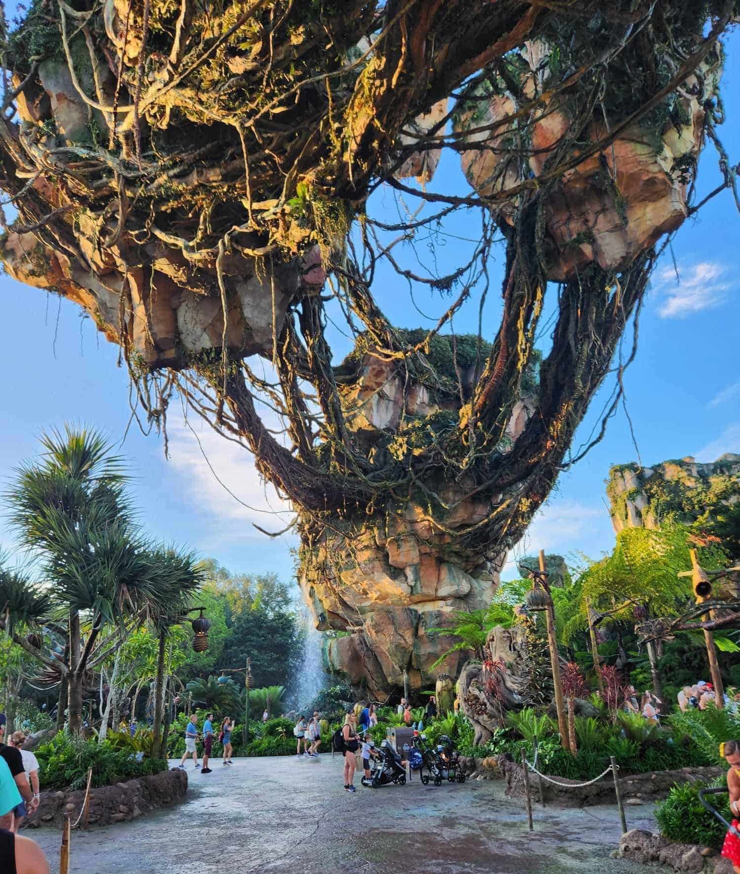 Disney World in July: A Complete Planning Guide - The Southern Travelista