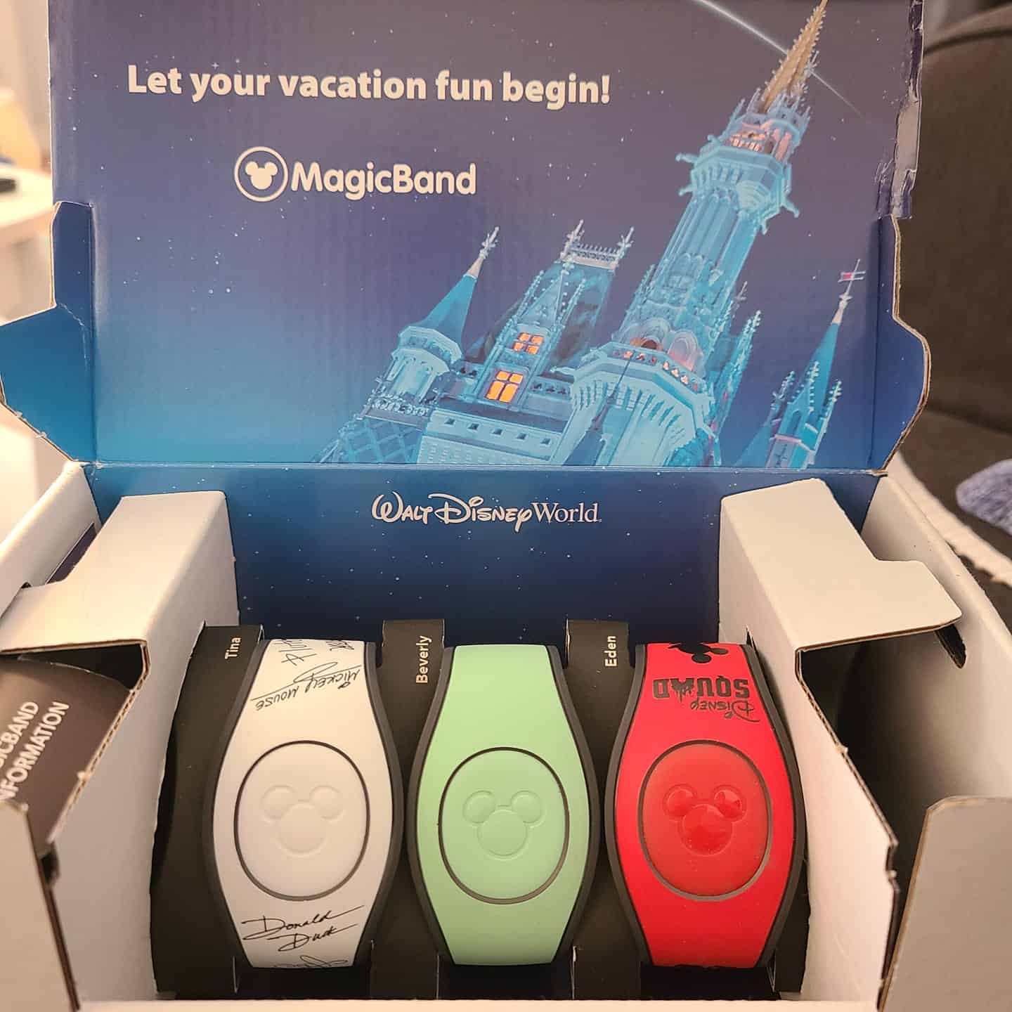 Step by Step Guide: How to Order Disney MagicBands - The Southern Travelista