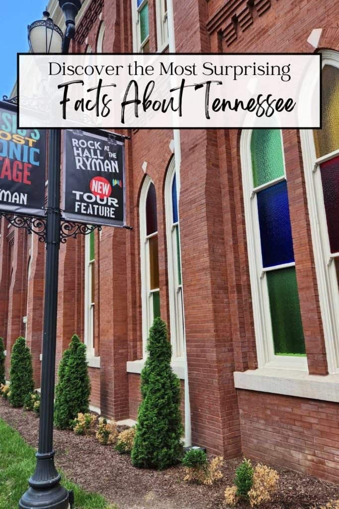 Facts About Tennessee Pin