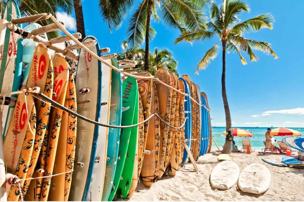 A row of surfboards on the beach.