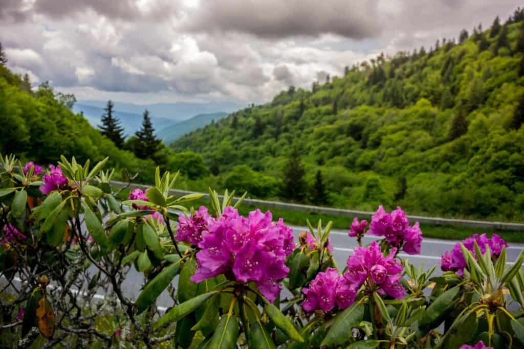 Spring is one of the best times to visit the Smoky Mountains