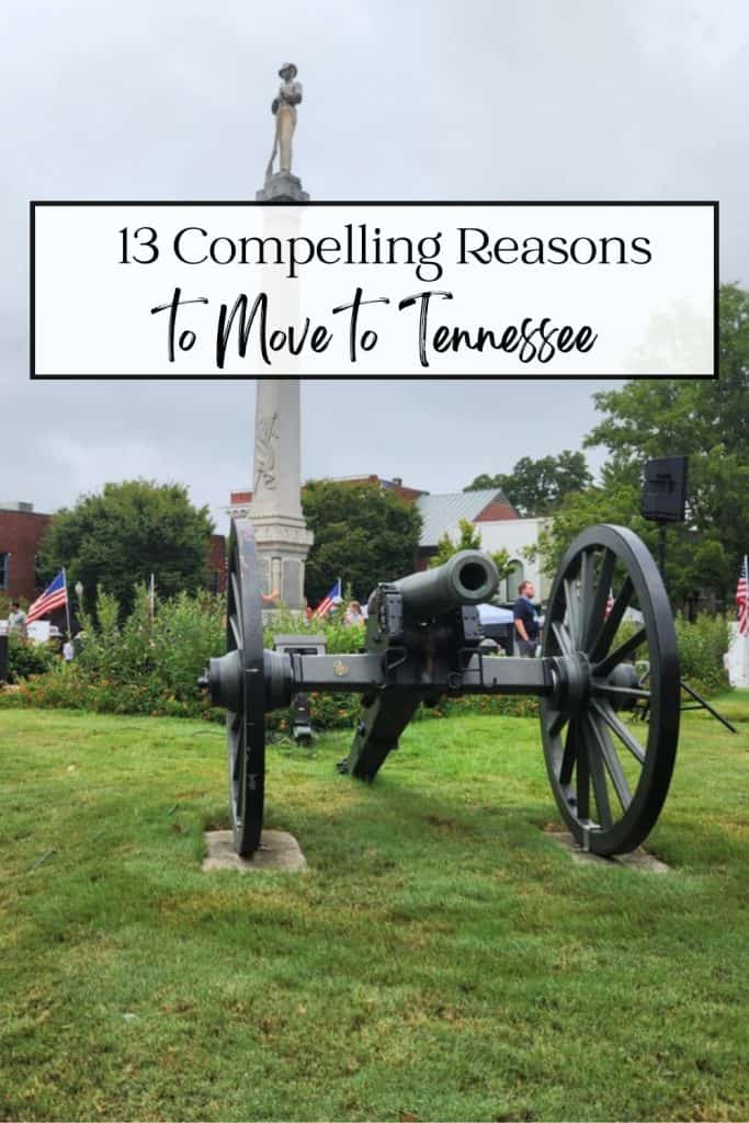 Reasons to Move to Tennessee Pin