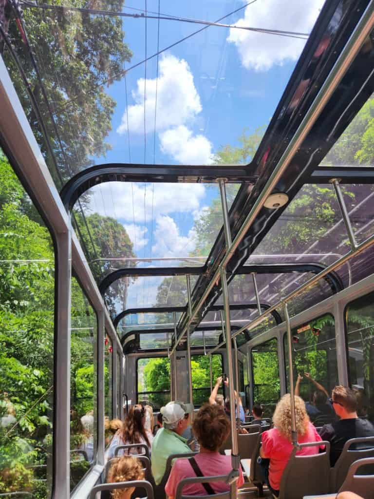 Take the Incline Railway up Signal Mountain in Chattanooga.
